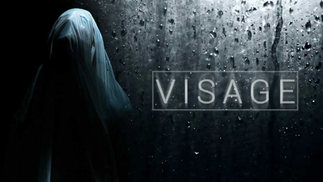 Download Visage