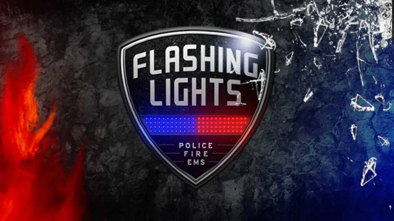 Download Flashing Lights - Police, Firefighting, Emergency Services Simulator