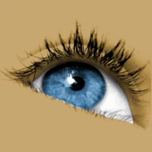 Download Sante DICOM Viewer Pro (v14.5)